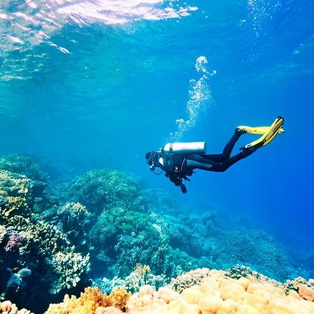 Dormio Bonaire Village Ngoại thất bức ảnh