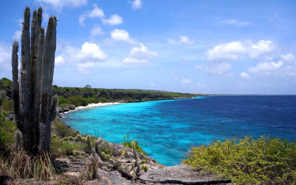 Dormio Bonaire Village Phòng bức ảnh