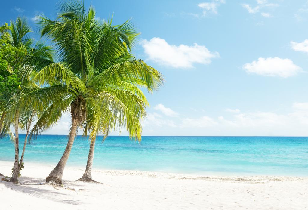 Dormio Bonaire Village Phòng bức ảnh